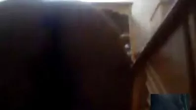 Брюнетка дає в білу дупу українські дівчата секс африканському біженцю