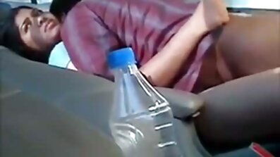 Гладка кицька