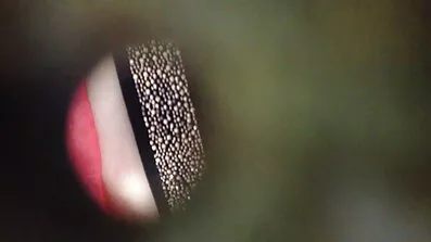 Вона ділиться український секс відео членом друга зі своєю найкращою подругою